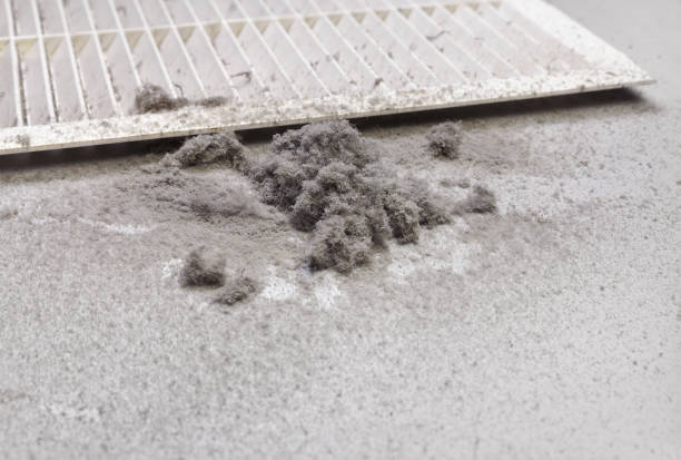 Best Best Air Duct Cleaning Company  in Genoa, OH