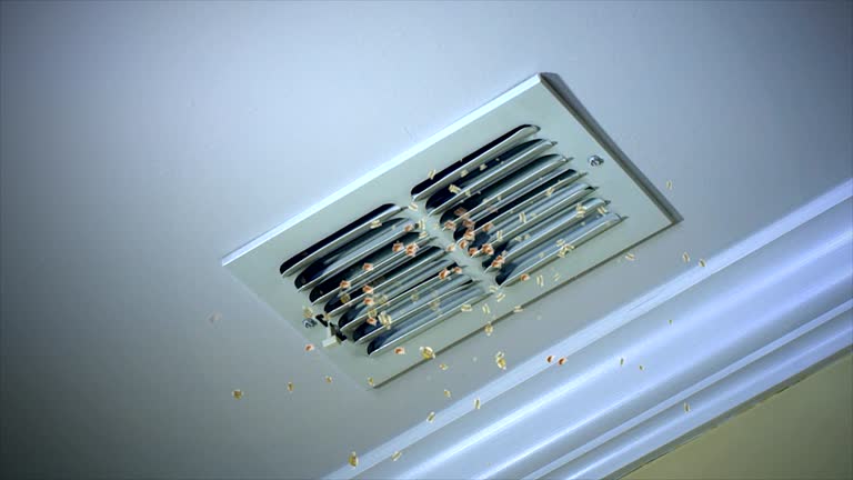 Best Air Vent Cleaning Services  in Genoa, OH