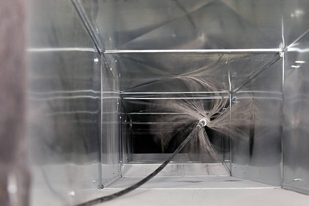 Best Dryer Vent Cleaning Services  in Genoa, OH