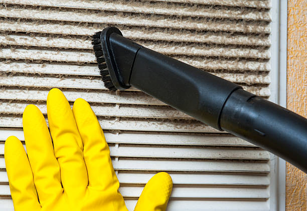 Best Commercial HVAC Duct Cleaning  in Genoa, OH